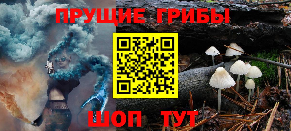 Галлюциногенные грибы Psilocybine cubensis Алейск